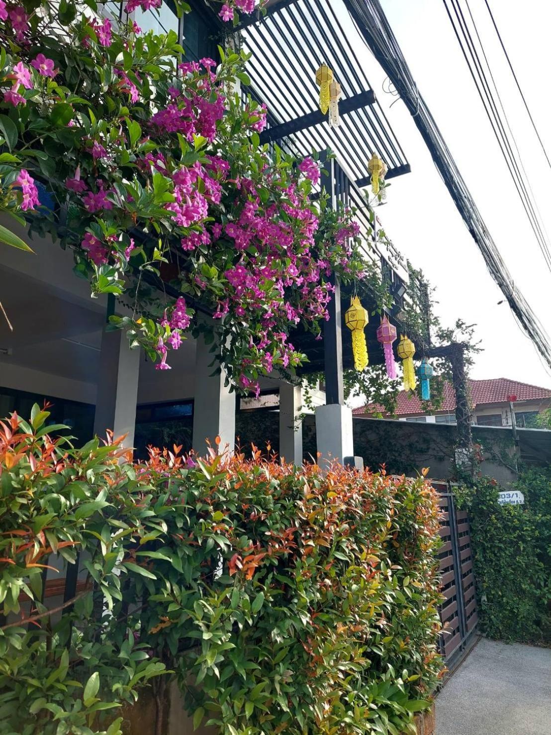 Villa Ld8 House Private Pool Perfect Groups -Families Chiangmai Chiang Mai Esterno foto